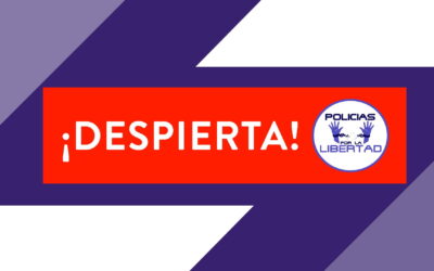 Despertando Conciencia