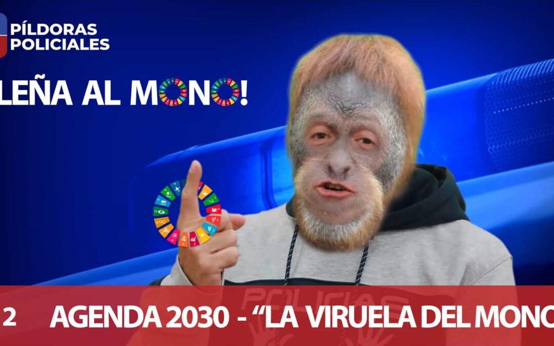 ¡LEÑA AL MONO! – LA «OMS», LA AGENDA 2030 Y LA VIRUELA DEL MONO… ¿CÓMO SE RELACIONAN?